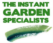 Need an instant garden? Look no further than Topiary by Design!